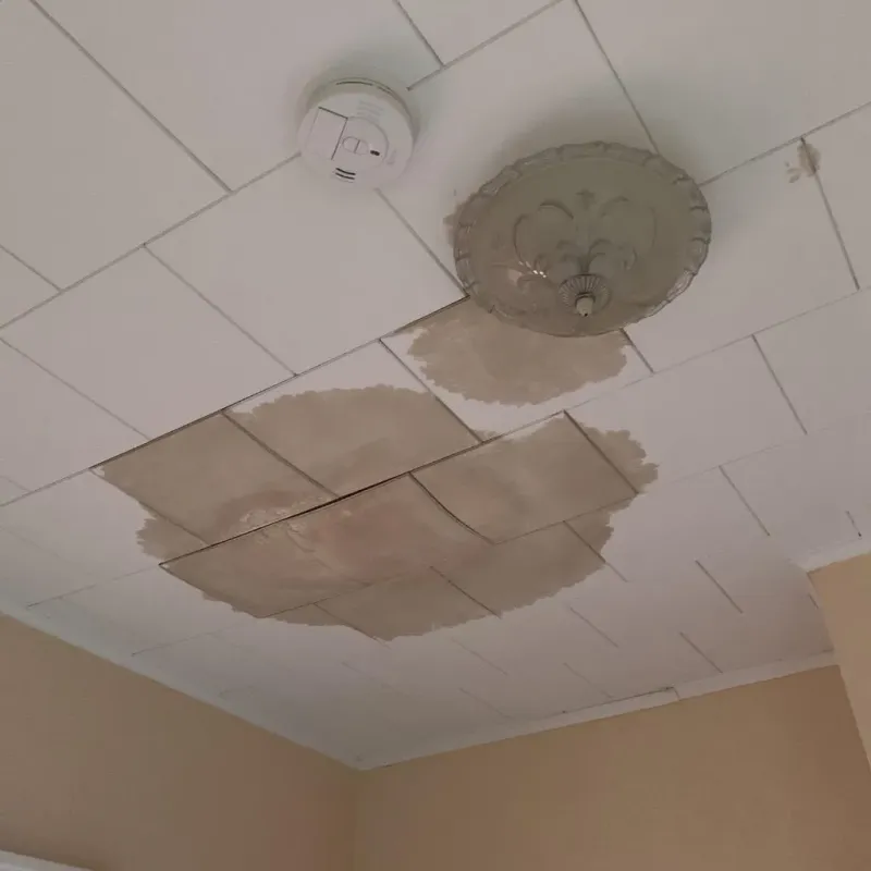 Ceiling Water Damage Repair in Lewisburg, OH