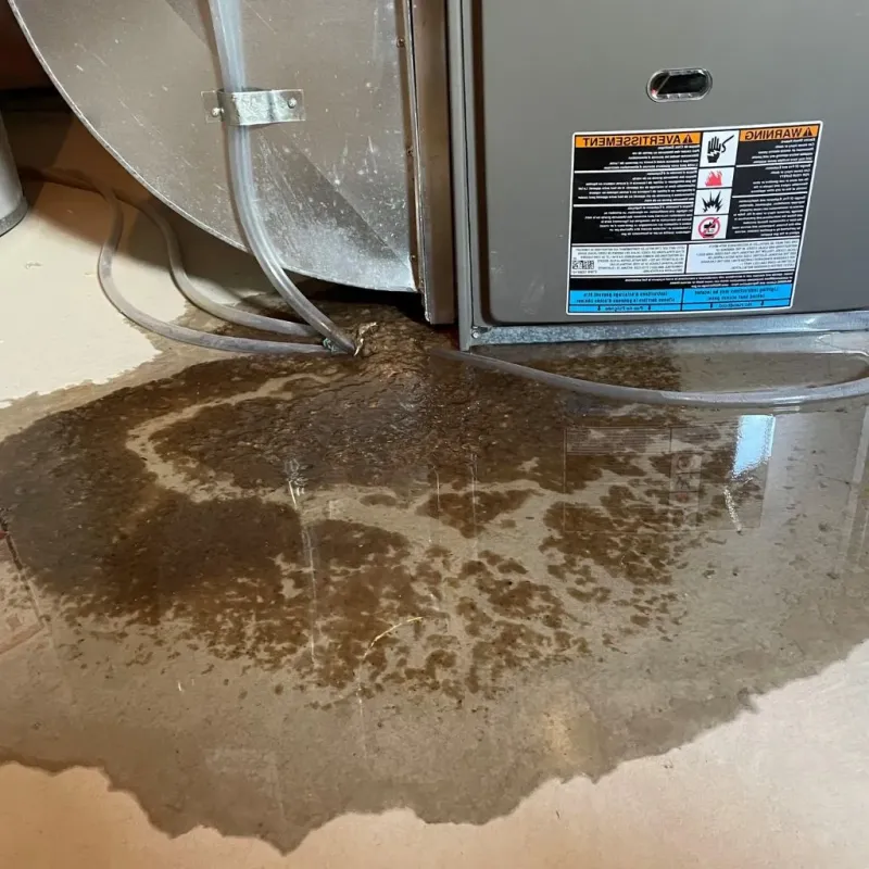 Pipe Burst and Leak Restoration in Lewisburg, OH