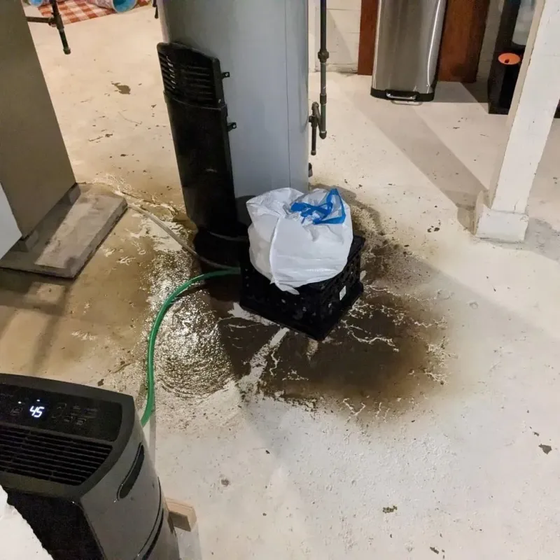 Sewage Backup Cleanup Service in Lewisburg, OH